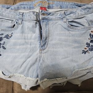 Arizona Jean Company Blue Distressed Jean Shorts